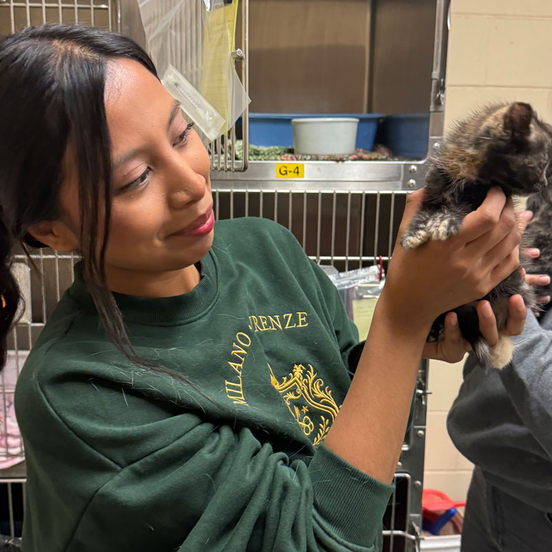 Veterinary Assistant students work with live animals in the classroom and on site