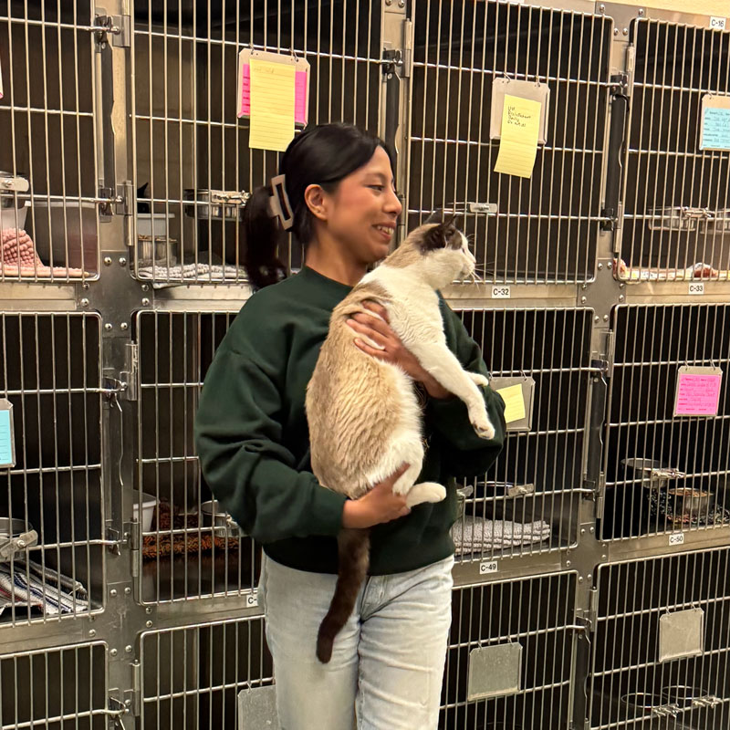 Veterinary Assistant students work with live animals in the classroom and on site