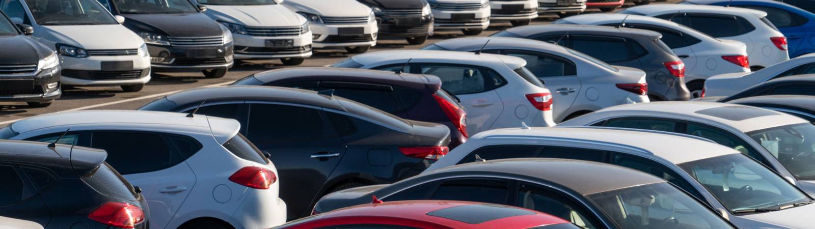 Auto Dealers