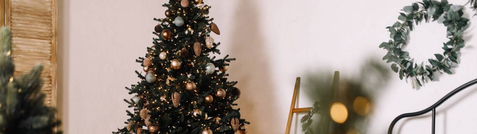 Enhance Your Home During the Holidays with Plants