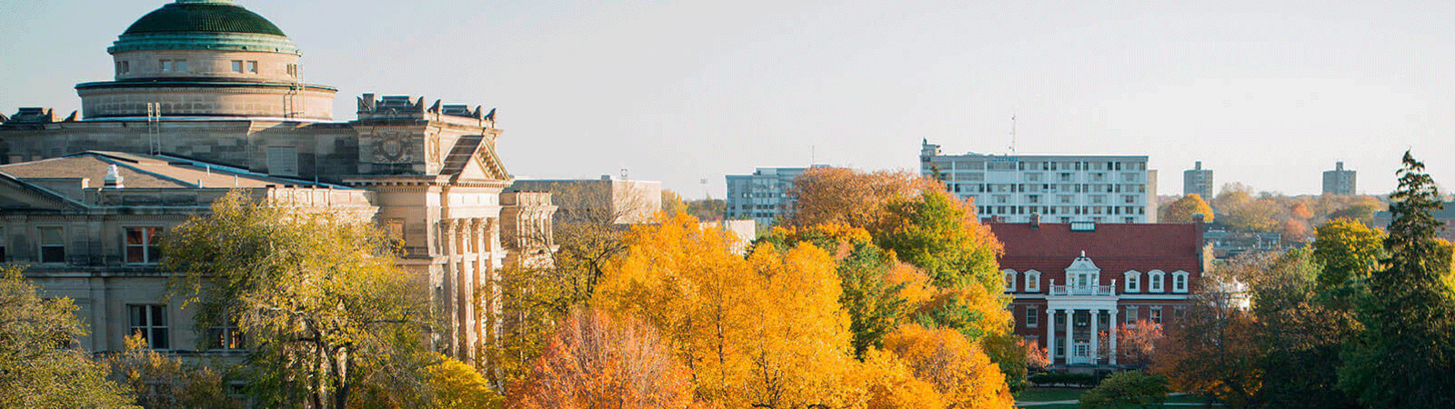 Iowa State University