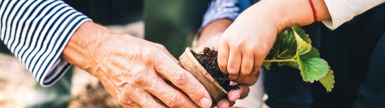 Making and Growing