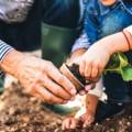 Plant in Fall for a Fantastic Spring Garden