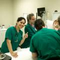 Nursing Tour