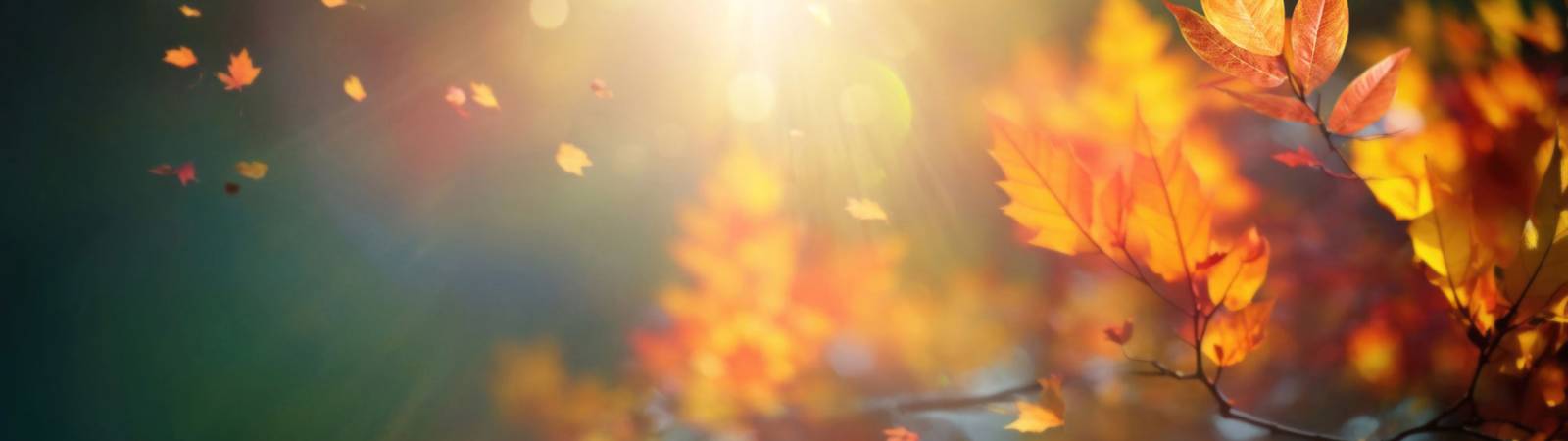 Fall Mystery Trip