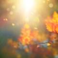 Fall Mystery Trip