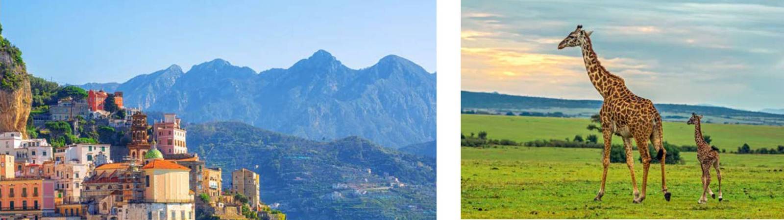 Travel Abroad