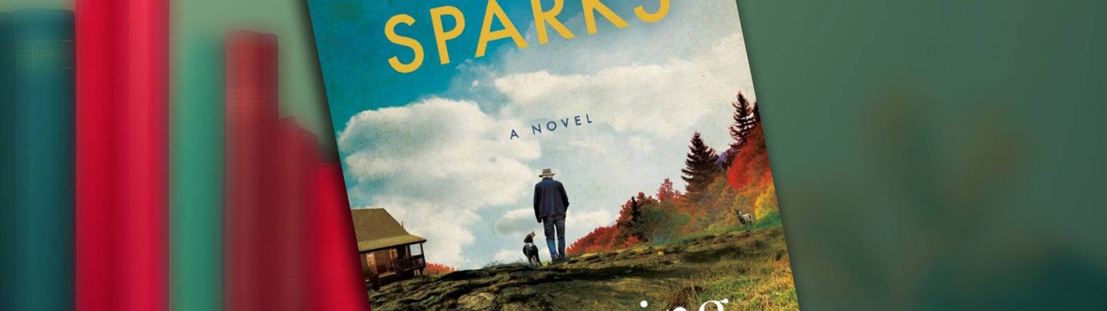 Book Club: Counting Miracles: A Novel