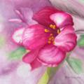 Watercolor Painting