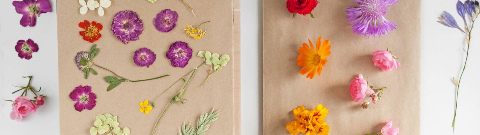 Flower Pressing Workshop: From Garden to Gallery