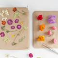 Flower Pressing Workshop: From Garden to Gallery