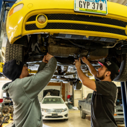 Auto Mechanic | Dipl