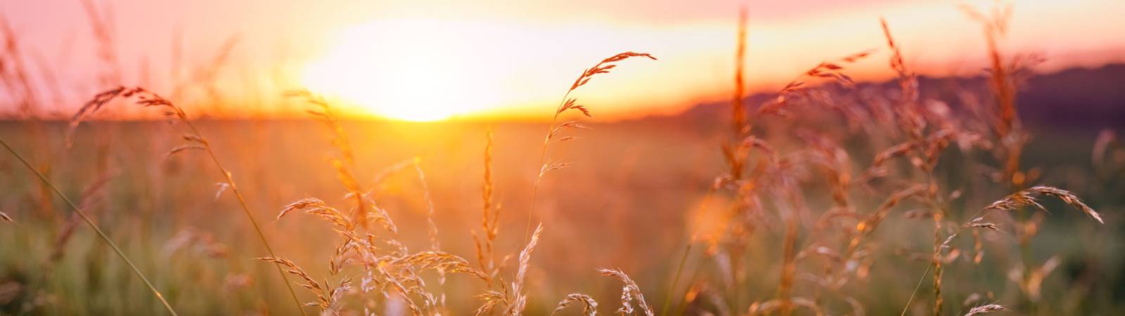 Morning Mystery Trip