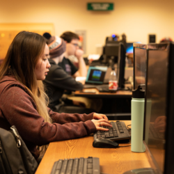 Information Security Analyst | Dipl